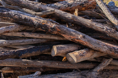 Similar image 21652173