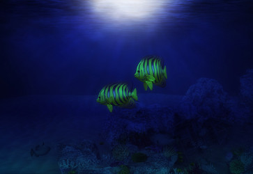 Similar image 21648811