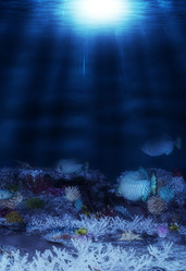 Similar image 21648815