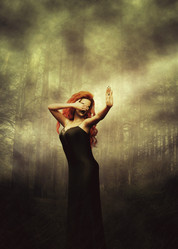 Similar image 21648831