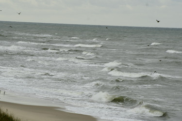 Similar image 21651740