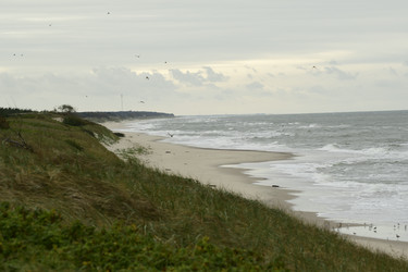 Similar image 21651741