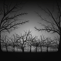 Similar image 21648594