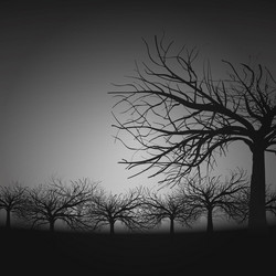 Similar image 21648609