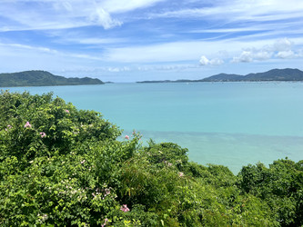 Similar image 21656311