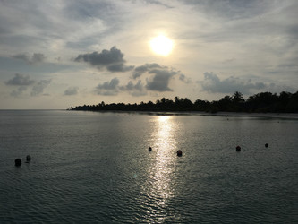 Similar image 21656312