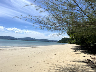 Similar image 21658725