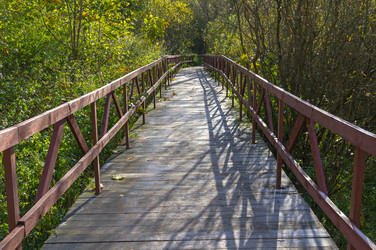 Similar image 21647937