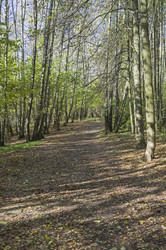 Similar image 21647938