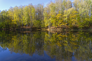 Similar image 21647939