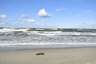 Similar image 21651467