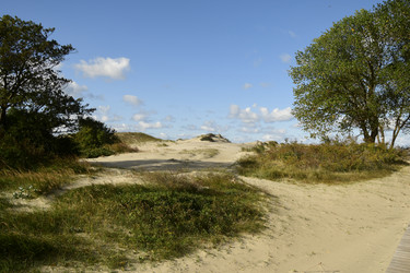 Similar image 21651469