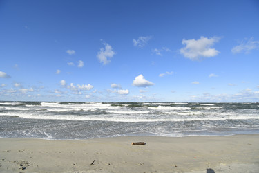 Similar image 21651477