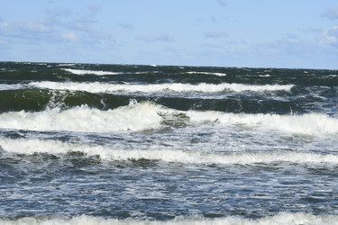 Similar image 21651490