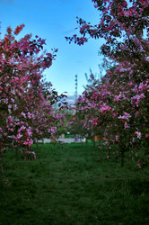 Similar image 21649431