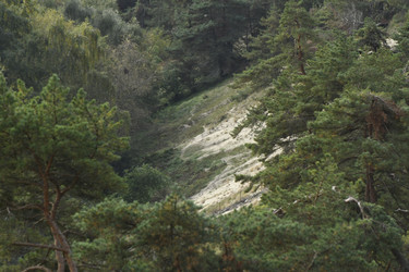 Similar image 21651495