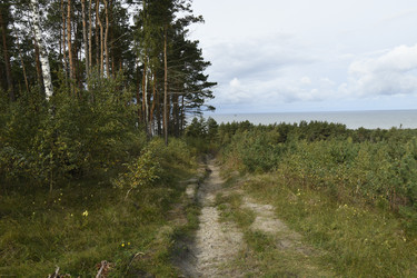 Similar image 21651499