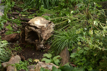 Similar image 21651501