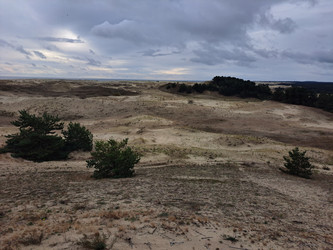 Similar image 21651502