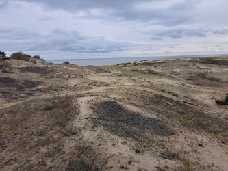 Similar image 21651504