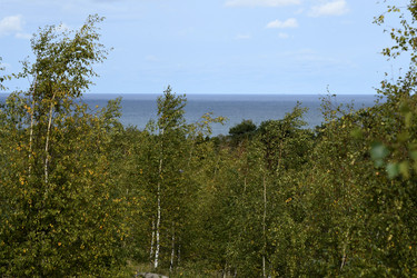 Similar image 21651505