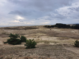 Similar image 21651506