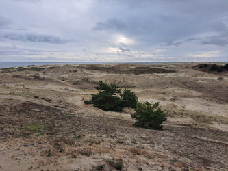 Similar image 21651508