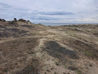 Similar image 21651509