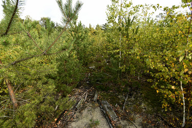 Similar image 21651512