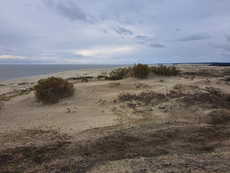 Similar image 21651513