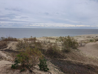 Similar image 21651516