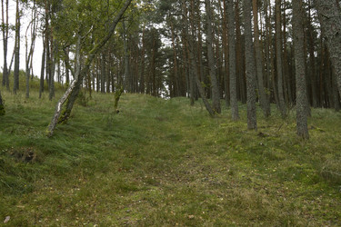 Similar image 21651517