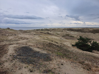 Similar image 21651518