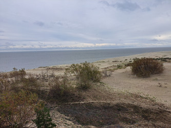 Similar image 21651520