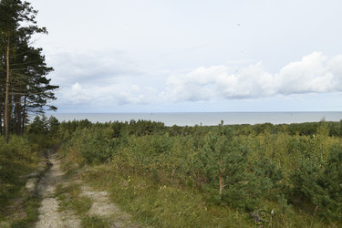 Similar image 21651521