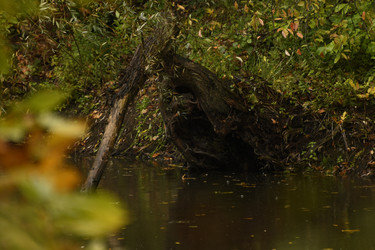 Similar image 21651522