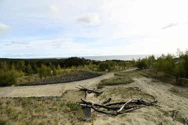 Similar image 21651523