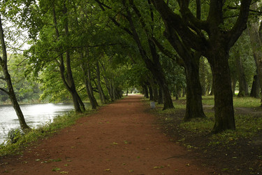 Similar image 21651525