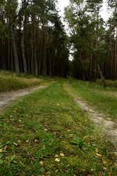 Similar image 21651526