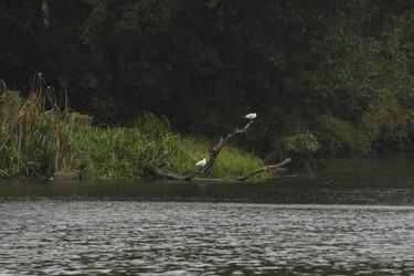 Similar image 21651527