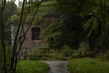 Similar image 21651528