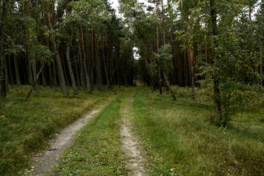 Similar image 21651530