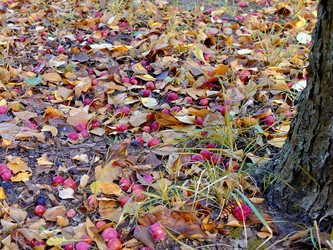 Similar image 21649311