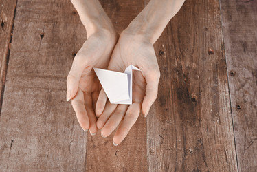 Similar image 21647942