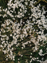 Similar image 21648486