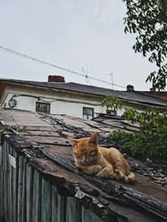 Similar image 21648487