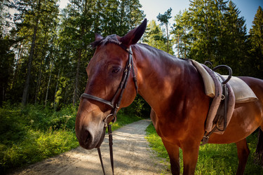 Similar image 21648489