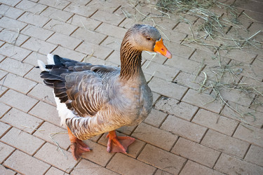 Similar image 21647945