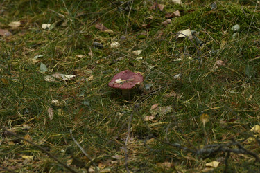 Similar image 21651531