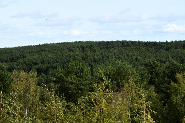 Similar image 21651532